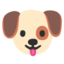 🐶