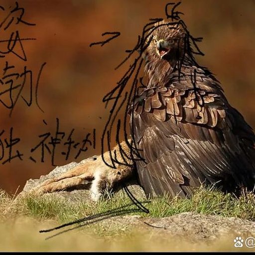 机友_rxfzw