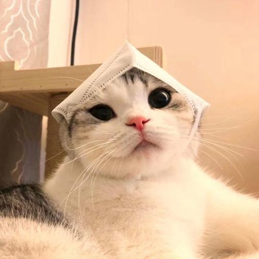 机友_gxqrq