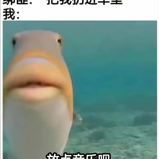 机友_fg9d8