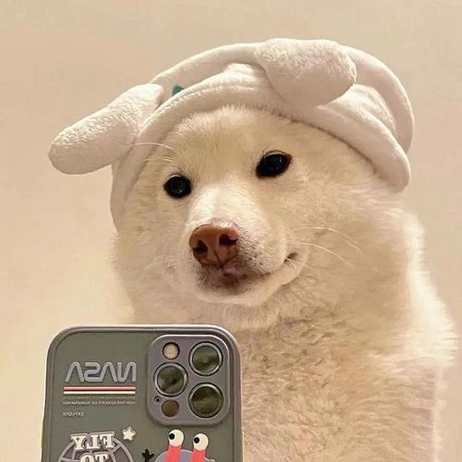 机友_n1w5s