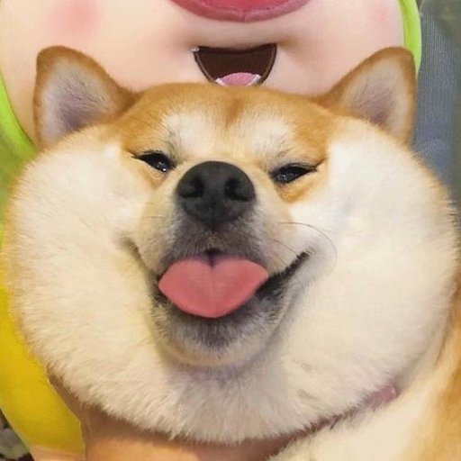 机友_ytn3y