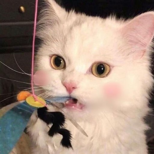 袋鼠我啊