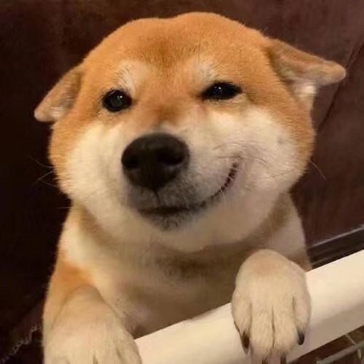 机友_nvgt0