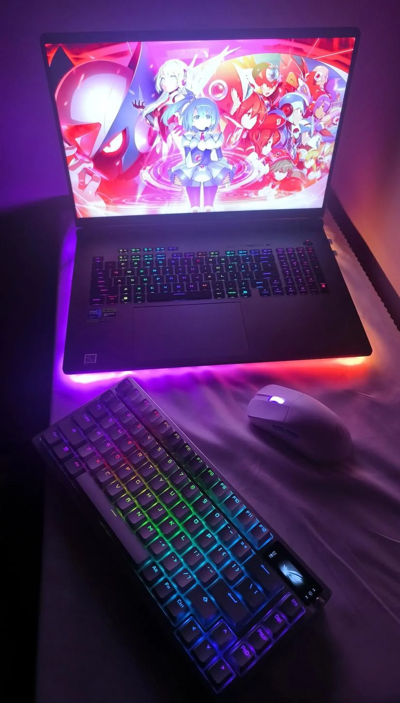 最支持台式哥的一集[cube_赞]