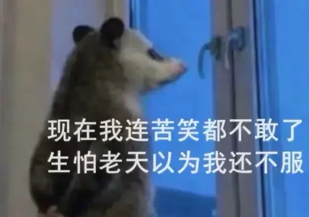 内存涨价把电脑圈逼疯了:8GB焊死+单插槽,厂商开始集体"缩水"