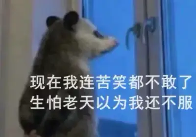 内存涨价把电脑圈逼疯了：8GB焊死+单插槽，厂商开始集体"缩水"