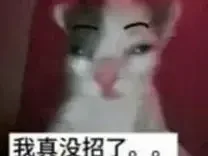 内存涨价把电脑圈逼疯了:8GB焊死+单插槽,厂商开始集体"缩水"
